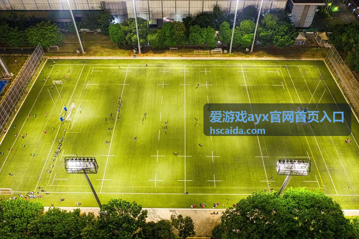 爱游戏ayx官网首页入口活动奖励配图