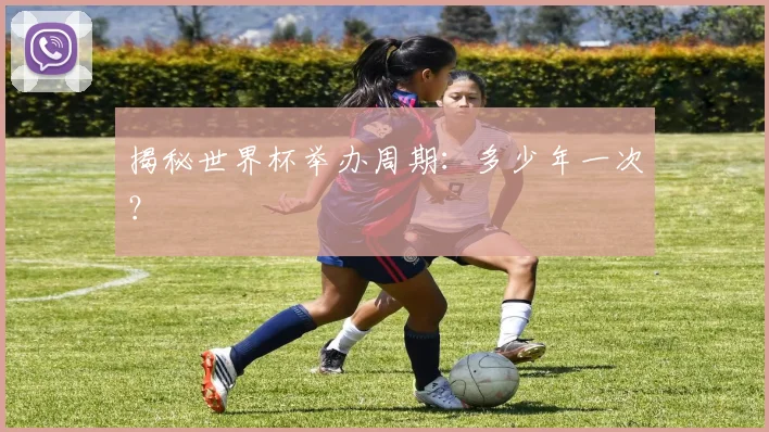 揭秘世界杯举办周期：多少年一次？