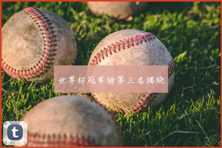 世界杯冠军榜第三名揭晓