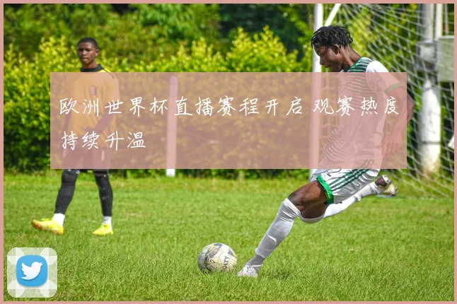 欧洲世界杯直播赛程开启 观赛热度持续升温